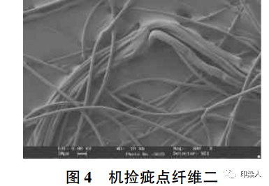 定型机,涂层机,地毯机,地毯背胶机,静电植绒机