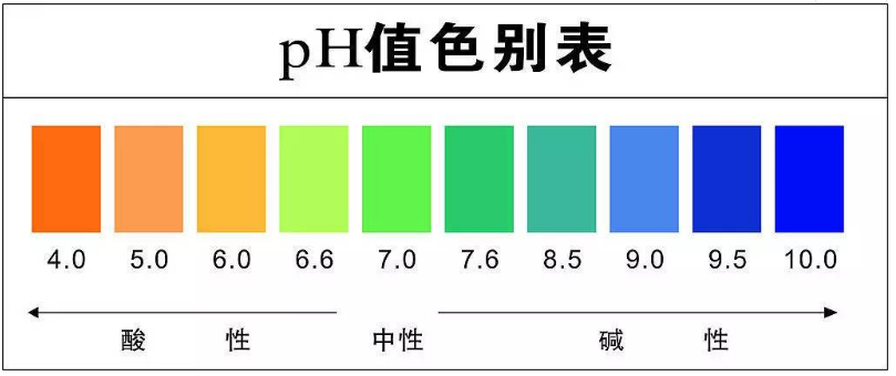 定型机,涂层机,地毯机,地毯背胶机,静电植绒机