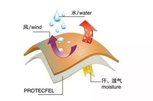 定型机,涂层机,地毯机,地毯背胶机,静电植绒机