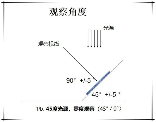 定型机,涂层机,地毯机,地毯背胶机,静电植绒机